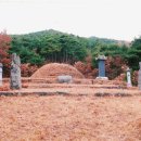 오자경 묘 이미지