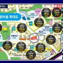 초롱꽃약국 네이버블로그