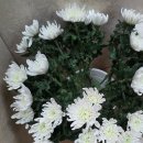 동양개발(주) 이미지