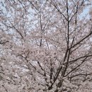 계양경기장-서운체육공원 이미지