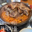 자작마을 | [용인시 백암] 2명이상이면 무조건 가야하는 불콩 용인맛집 - 자작마을