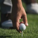 여주-0285 이미지