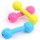 프라임 애견 이미지