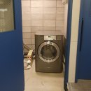 독핏코리아 이미지