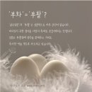 하나님의 교회 부활절 함께 지켜요~(안상홍님) 이미지