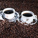 풀빛동산 이미지