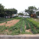 비봉우체국 이미지