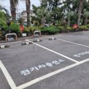 월드컵흑돼지 이미지