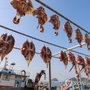 흑산도홍어전문