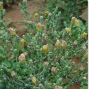 효성농장 이미지