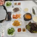 대패박사 이미지