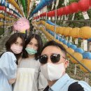 (주)신왕 | 강화도 석모도 보문사 당일치기 여행코스 | 가족과 다녀온 힐링 사찰 산책기