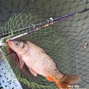 용주골낚시터 이미지