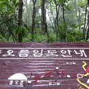 한라산둘레길 돌오름길 이미지