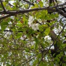 정경한의원 이미지