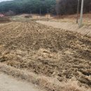 불땅부동산공인중개사사무소 | 👉 “집 과 땅” 👉 “부동산 / 공인중개사”👉 청양군 농가주택 + 땅 매매 화성면 장계리 완전 대박 매물...