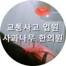 사과나무한의원 이미지