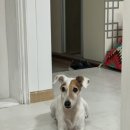 (주)케어풀 네이버블로그