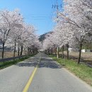 수하보건진료소 이미지