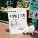 산호동물병원 네이버블로그