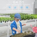 충북농장 | [충북 진천] 놀면서 배우는 스마트팜, 이모농장 첫 방문 후기 (상어먹이주기, 스마트팜농작물수확...