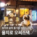 오스낵 | 을지로 골목에서 발견한 힙한 카페 <오씨스낵> 내돈내산 후기
