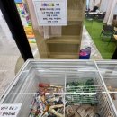 5527 | 봄을 만끽할수있는 데이캠파크 의정부 캠핑 에어바운스 수영장 야외 실내 꿀팁 내돈내산 솔직후기