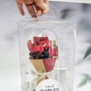 알찬어린이집 이미지