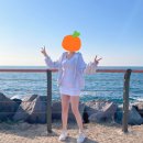 스테이 호꼼만 이미지