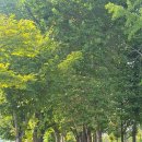 초지역 2번출구 이미지