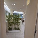 샤브드림 | 부산 서면 깔끔한 샤브샤브 맛집, 샤브드림 서면점 후기