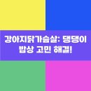 댕댕이밥상 이미지