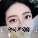 누니래쉬 | 대연동 속눈썹 연장 잘하는 곳 ❝누니크래쉬❞ 다크브라운 래쉬 추천