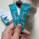 큐어엔 | 반려동물 피부와 눈 건강 챙기기, 큐어펫 에센셜 스킨&amp;아이즈 후기