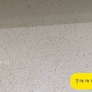 일이삼박이네 이미지