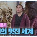 나무에 그리는 세상 우드버닝 이미지