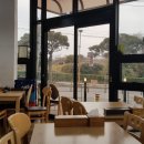 신해바라기제2호점 이미지