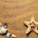 먹고 The 먹고 이미지