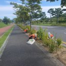 도청대로(서) 이미지