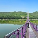 시루섬 | 단양여행 갈만한 곳, '시루섬 생태 탐방교' 임시개통 주말 방문 후기
