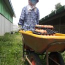 달나무농장 이미지