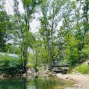 평창 태기산 캠핑장 펜션 | 21.8.13~15 평창 캠핑장/평창태기산캠핑장펜션/아이랑함께하기 좋은 캠핑장/노르디스크카리/카리...