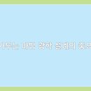 태양전기전자 이미지