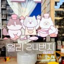 월리24번지 이미지
