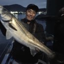부산낚시 - 속초시 중앙로 148-1 | 부산낚시