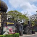 방림원 식물원 | [제주/한경면] 다양하고 희귀한 식물을 만나볼 수 있는 방림원(方林園)