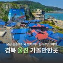 KTX 타고 떠나는 당일치기 바다 여행 :: 울진 관광택시 이용 후기와 추천 코스 가볼만한곳