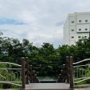 팔용동서식품 이미지