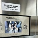 [강남/신논현] 하이디라오 서초점 주말 점심 웨이팅 후기