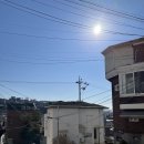 선데이아보 이미지